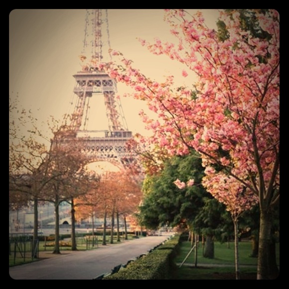 Meet your Posher, Nicole - Picture 1 of 1